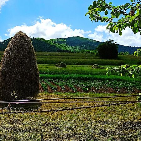 Садиба" У Василя" Volovets Exterior photo