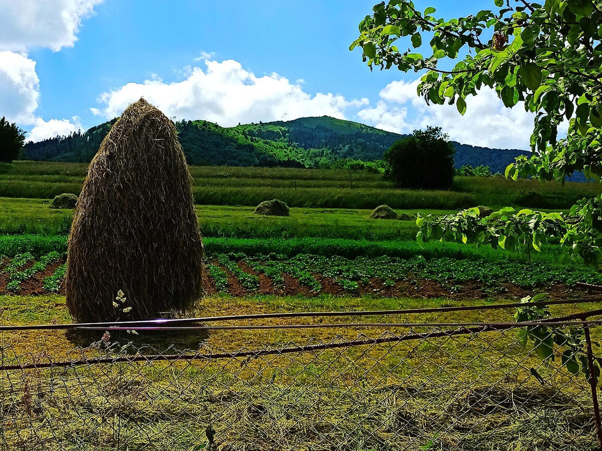 Садиба" У Василя" Volovets Exterior photo